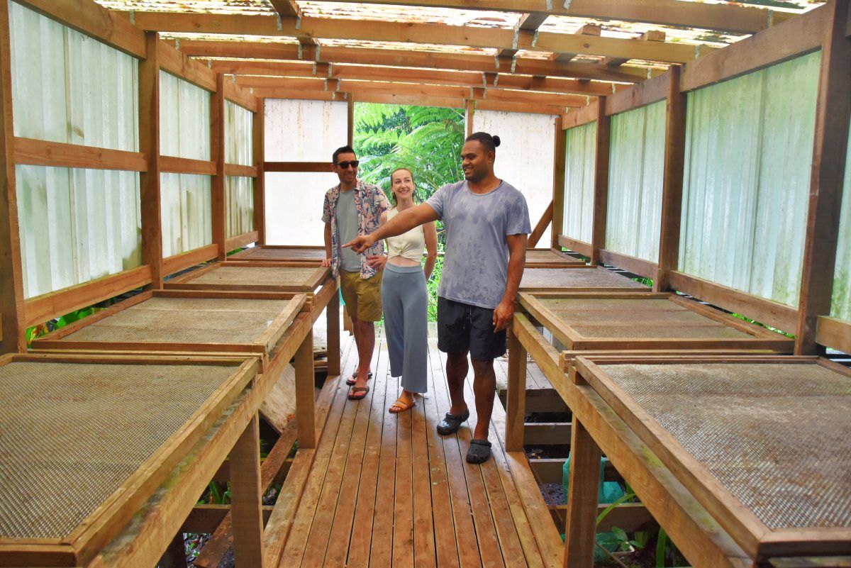 Fiji Foodie Itinerary: 14 Days / Two Weeks