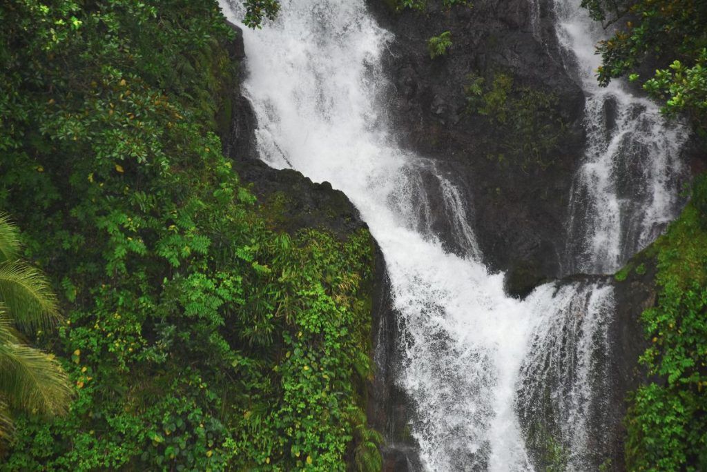 10 Romantic Activities in Kadavu for Couples