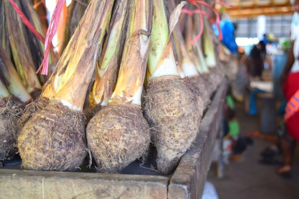 Fiji Foodie Itinerary: 7 Days / One Week (Islands & Culture)