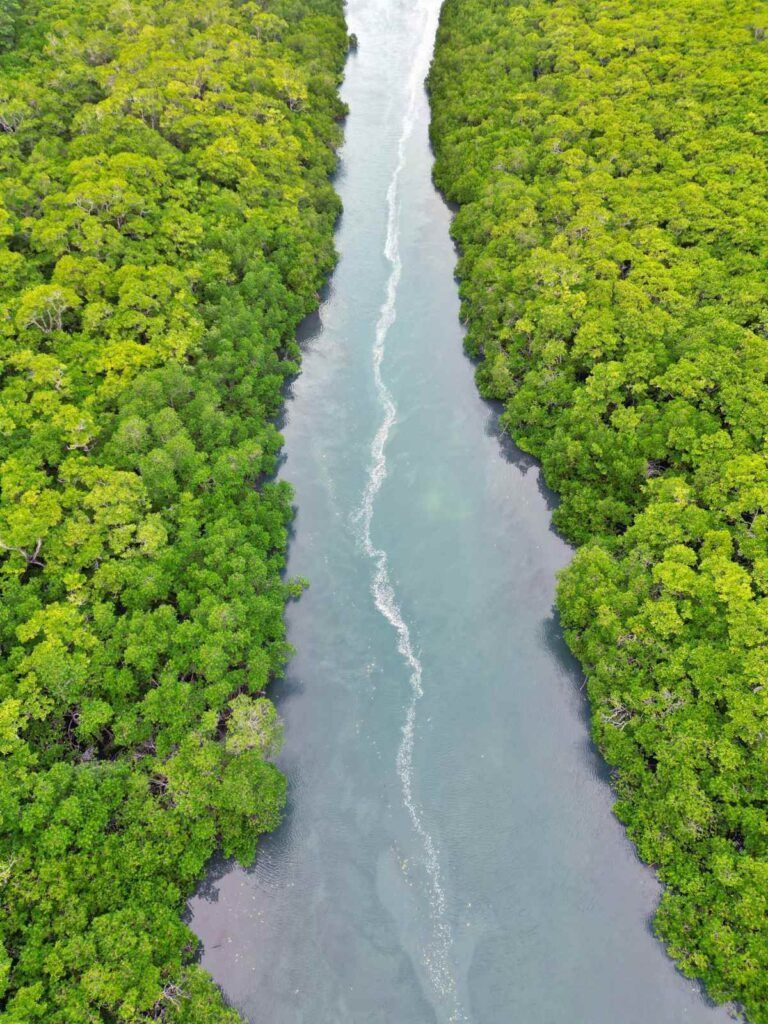 Fiji Luxury Itinerary: 14 Days / Two Weeks