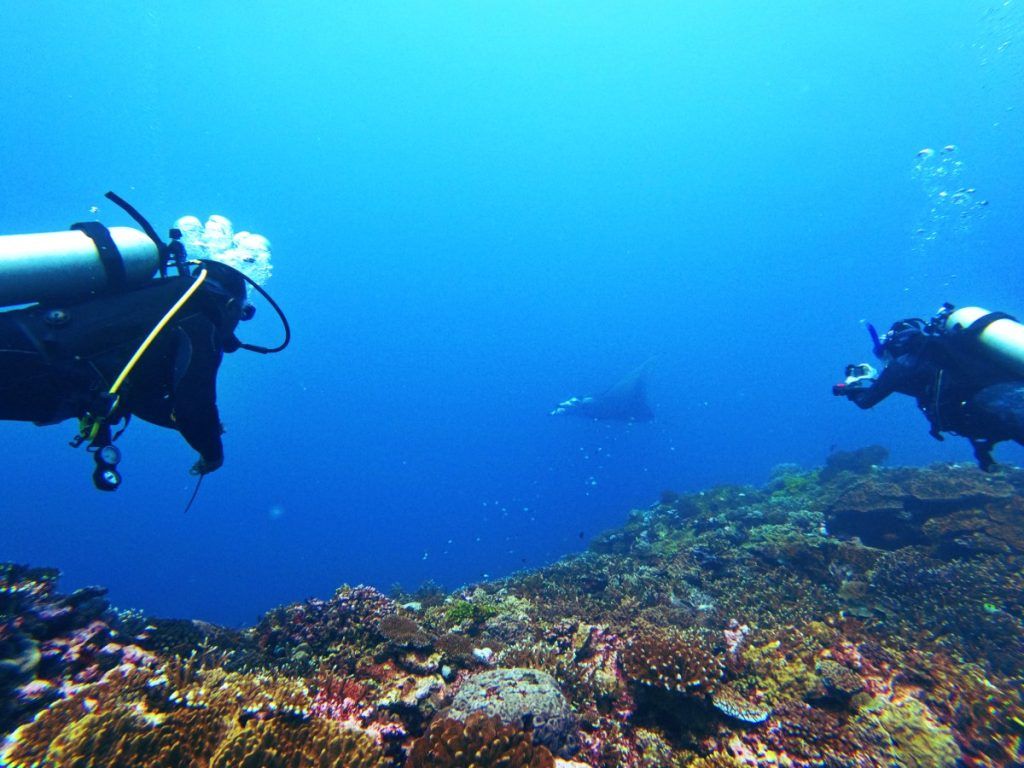 10 Romantic Activities in Kadavu for Couples