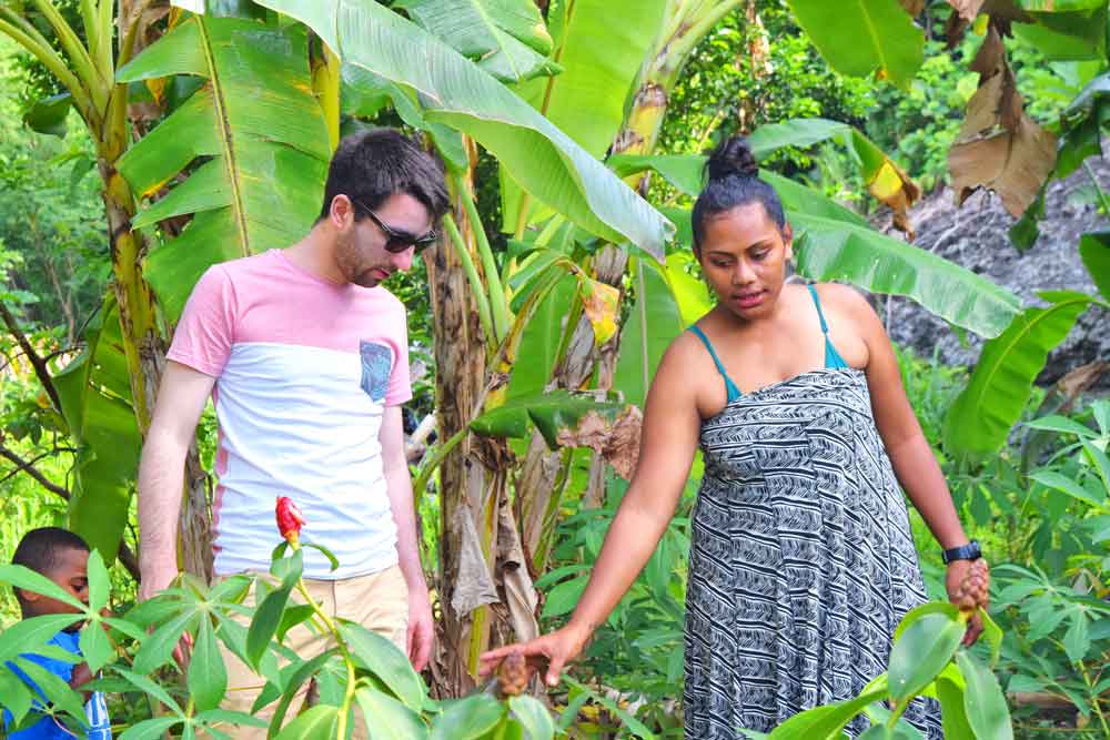 food-activities-on-taveuni