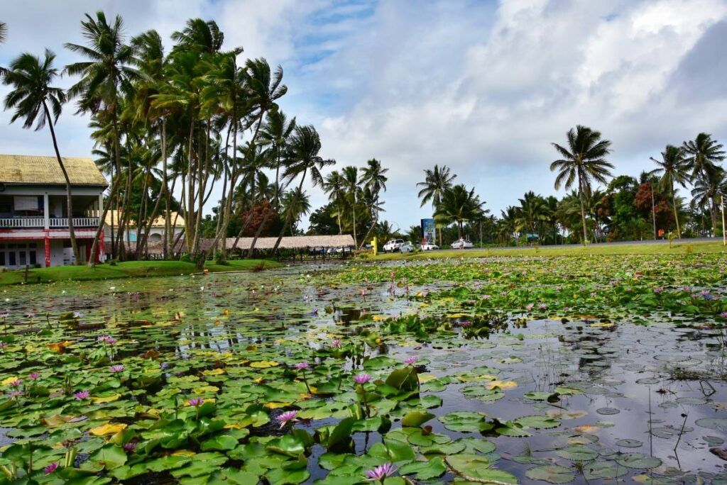 Fiji Budget Itinerary: 7 Days / One Week