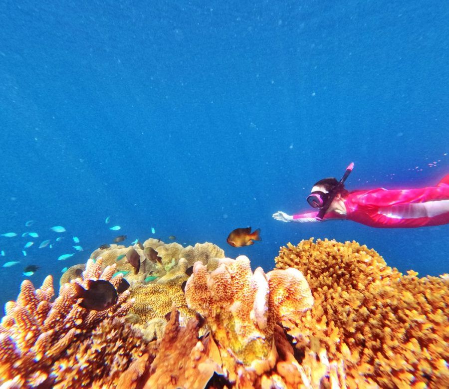 10 Free & Cheap Things to Do in Kadavu
