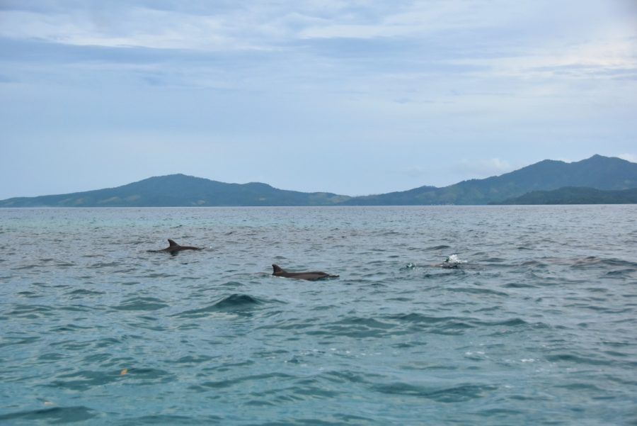 The Travel Guide to Kadavu for Families