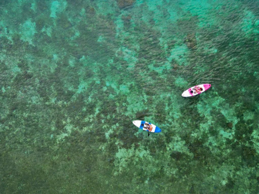 10 Free & Cheap Things to Do in Kadavu