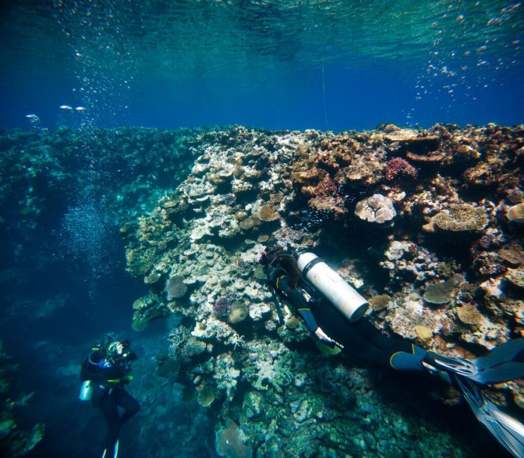 7 Romantic Activities in the Lomaiviti Islands for Couples