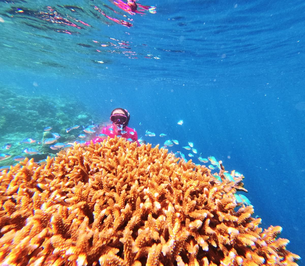 10 Things To Do in Kadavu with Kids