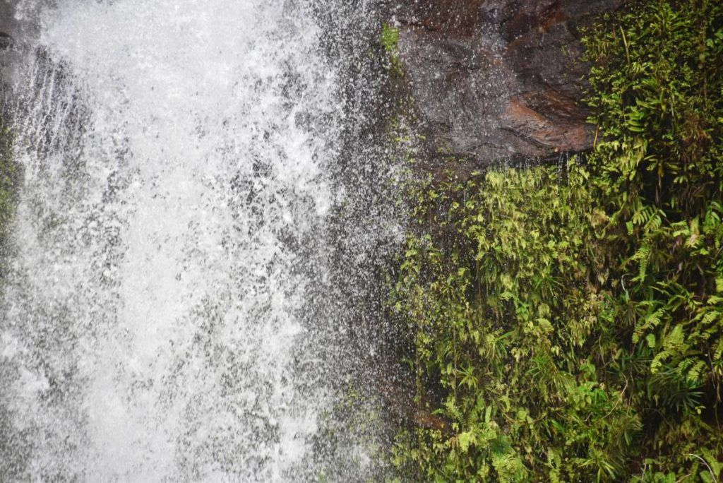 10 Free & Cheap Things to Do in Kadavu