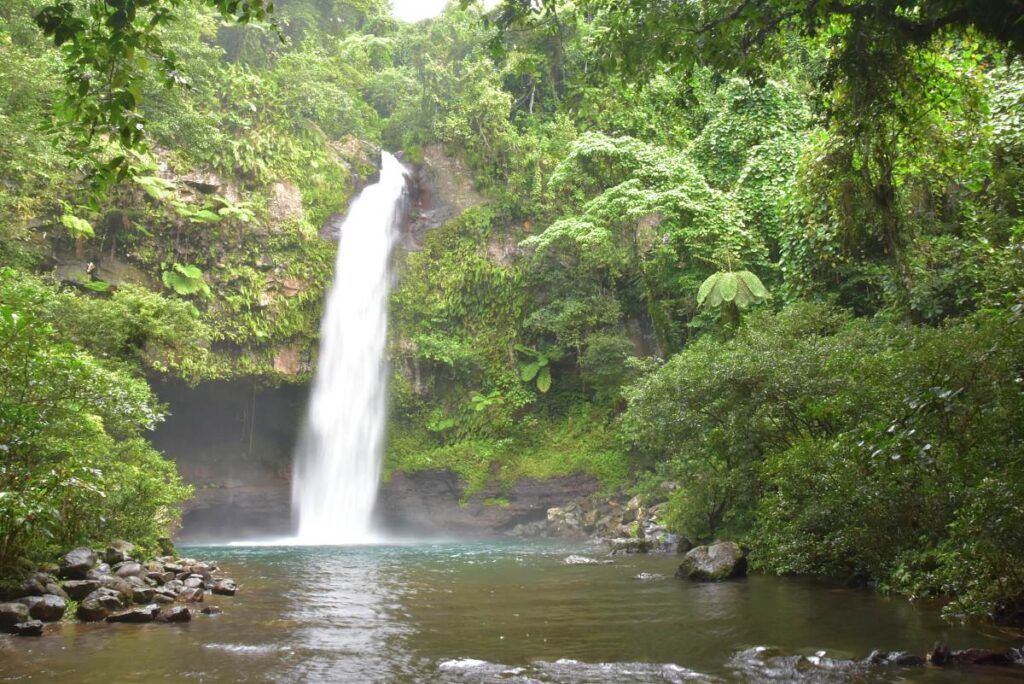 10 Things to Do on Taveuni with Kids