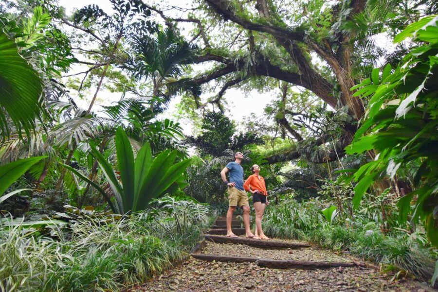 10 Free & Cheap Things to Do in Vanua Levu