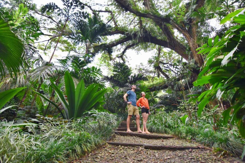 10 Free & Cheap Things to Do in Vanua Levu