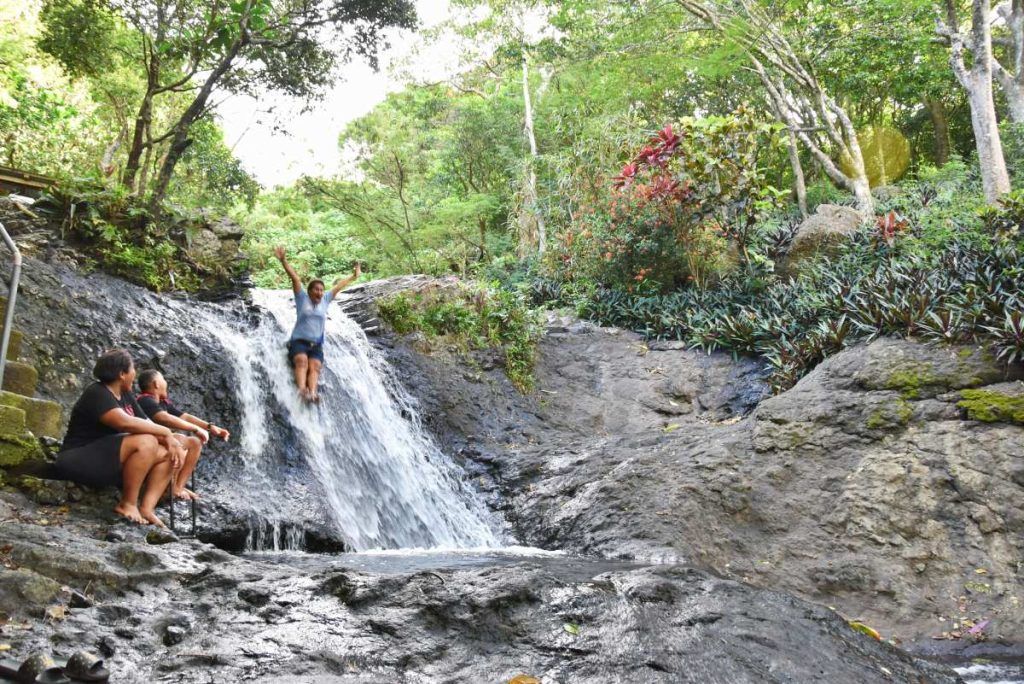 The Travel Guide to the Suncoast for Families