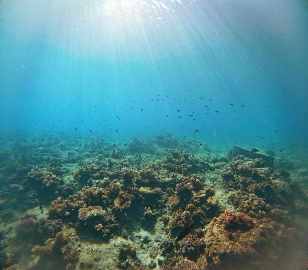 10 Things to Do on Taveuni with Kids