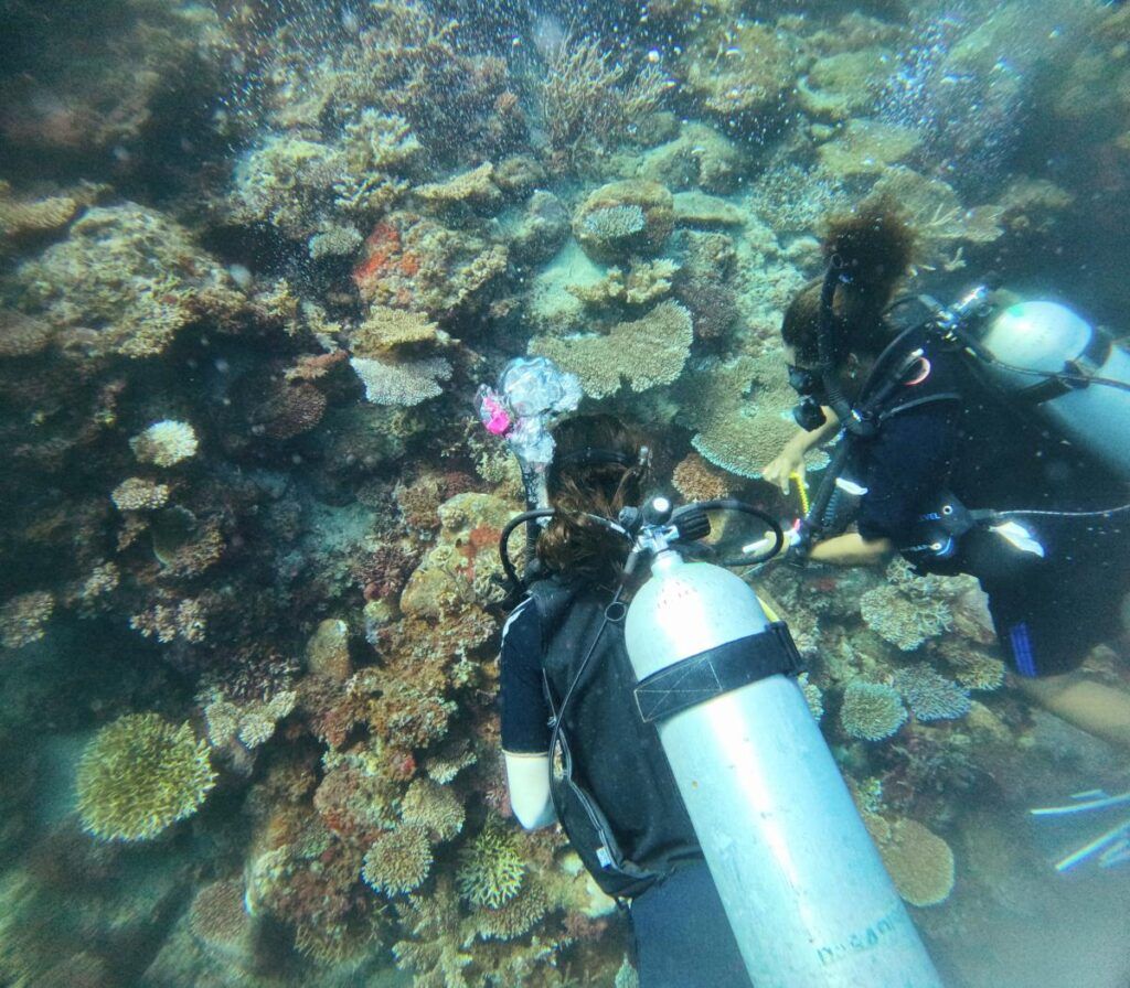 10 Romantic Activities in Taveuni for Couples