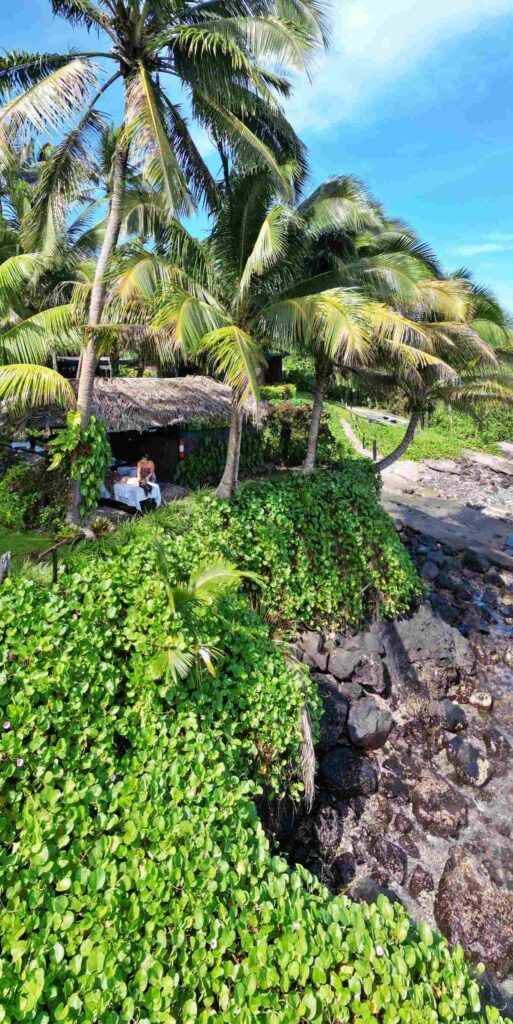 The Luxury Travel Guide to Taveuni