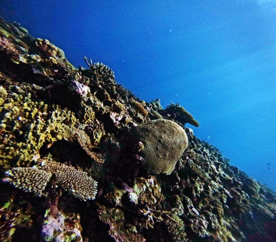 The Adults-Only Vacation Guide to Taveuni