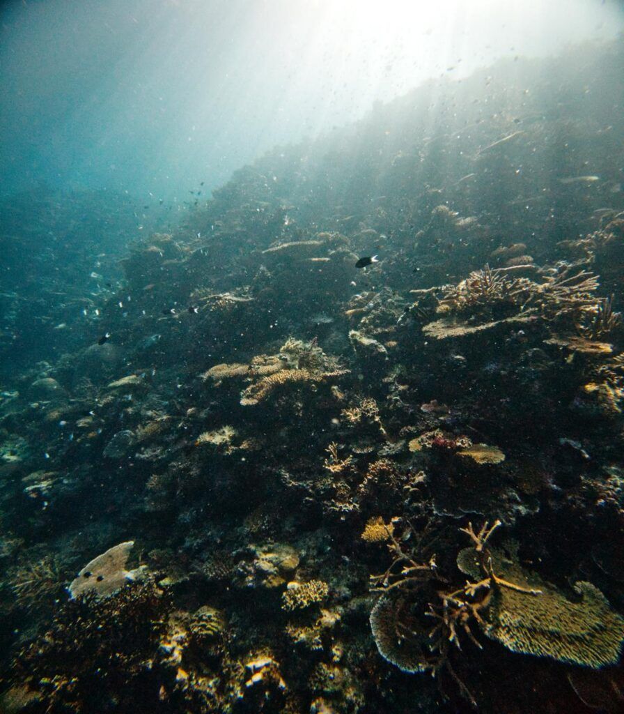 10 Luxury Activities in Vanua Levu