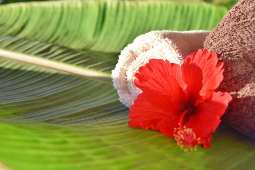 10 Luxury Activities in the Lau Islands