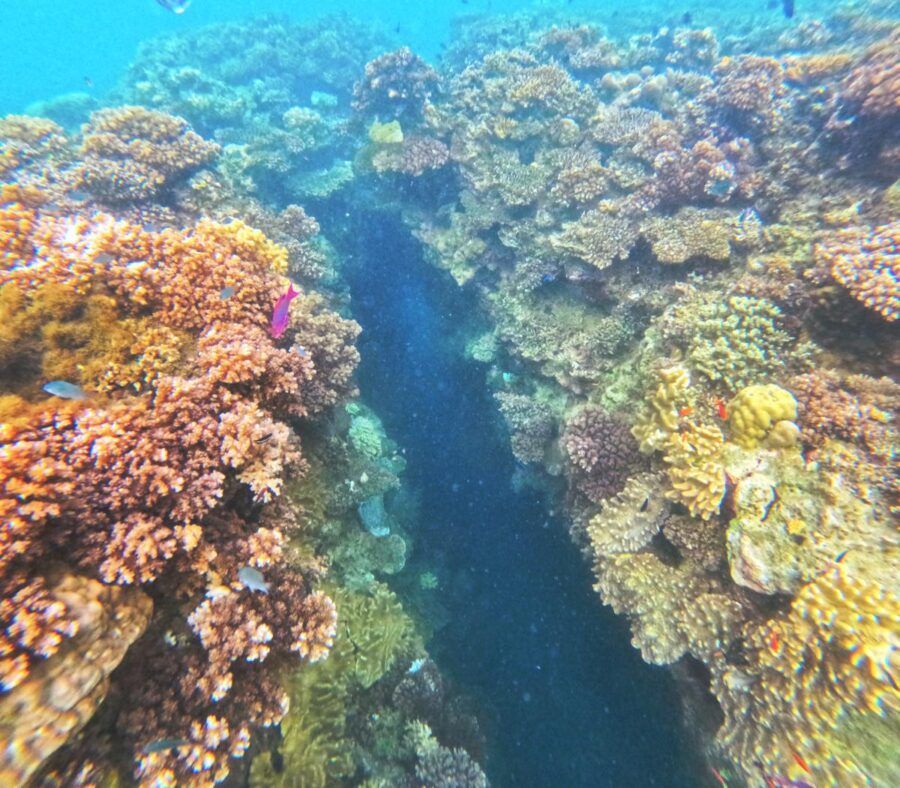 The Travel Guide to Vanua Levu on a Budget