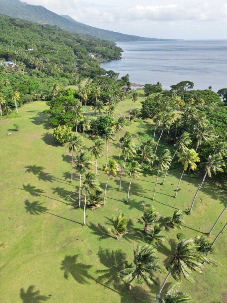 The Complete Travel Guide to Taveuni