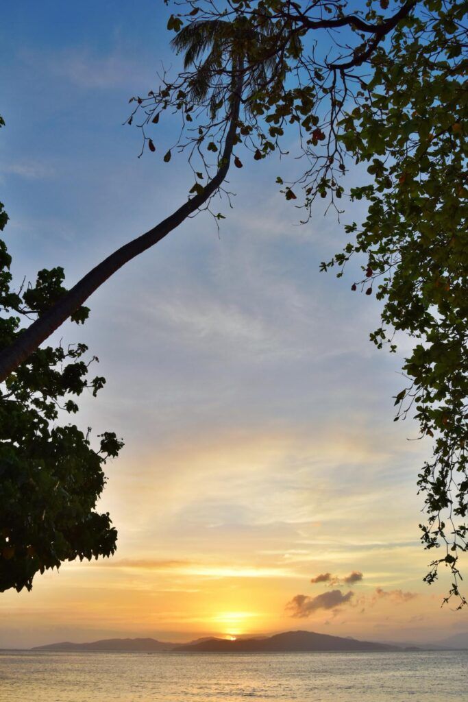 The Complete Travel Guide to Taveuni