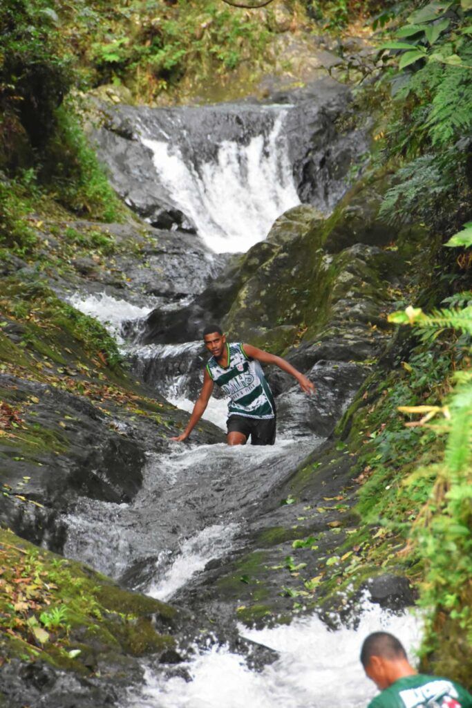 The Travel Guide to Taveuni on a Budget