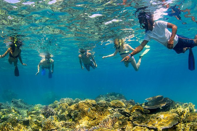 The Best Multi-Day Bus Tours of Fiji