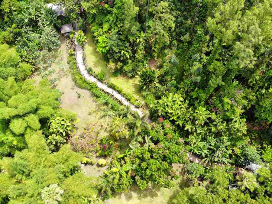 5 Best Walks from Denarau