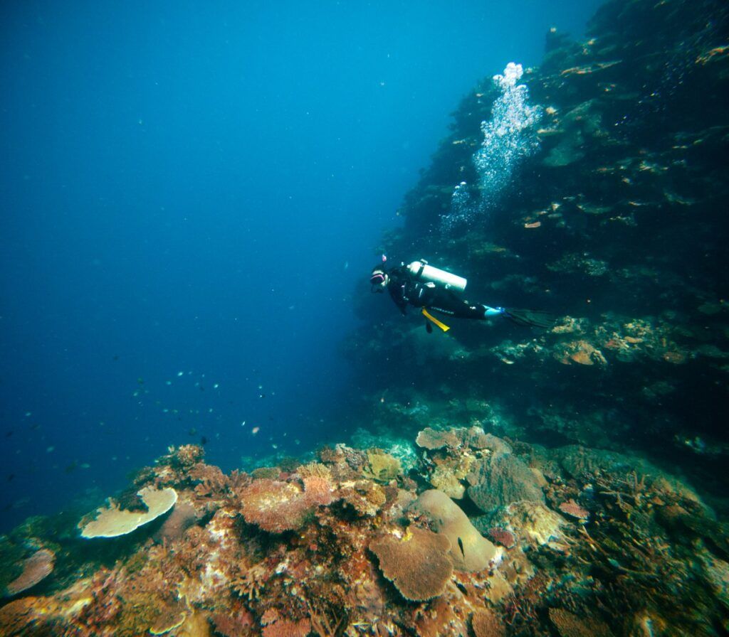 10 Best Places to Scuba Dive in Fiji