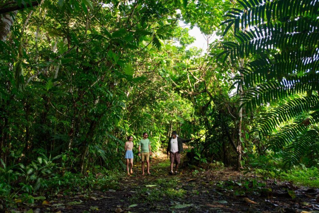 9 Best Walks in Taveuni