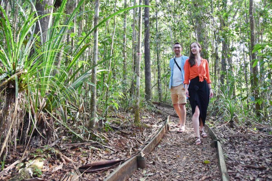5 Best Walks in Suva