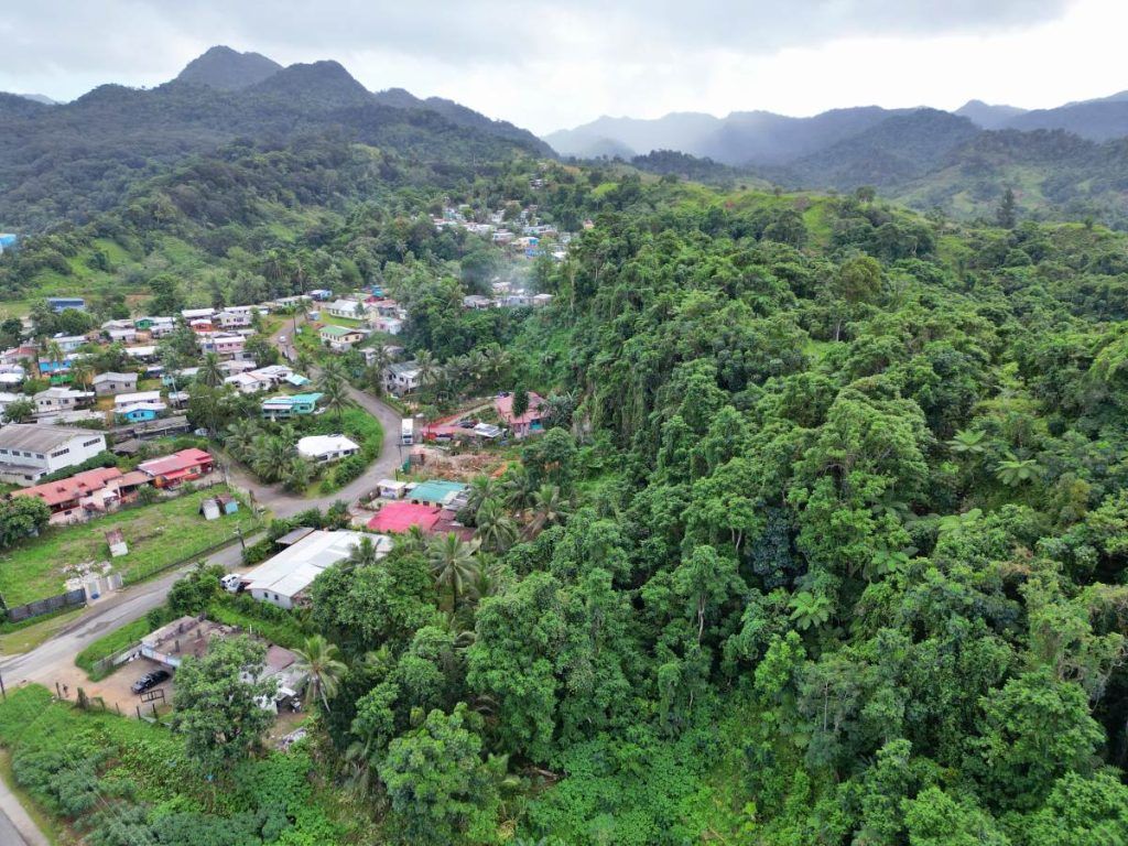 5 Best Walks in Suva