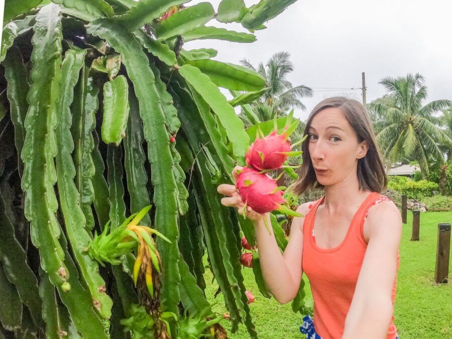 10 Exotic Fruits in Fiji You Have to Try