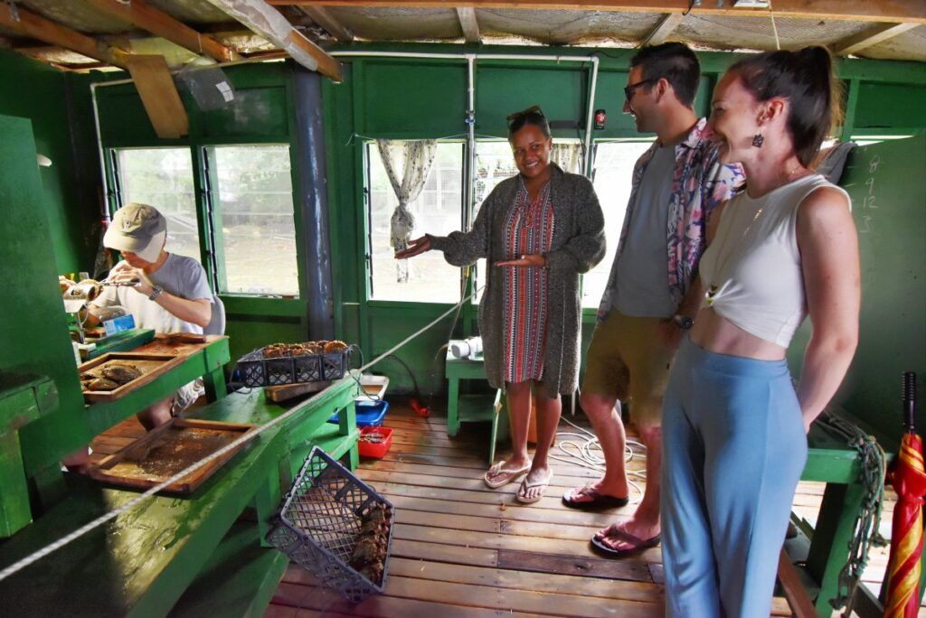 10 Must-Do Tours in Fiji