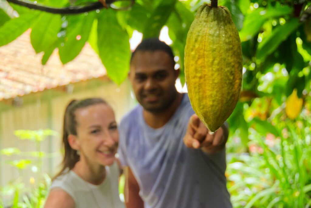 10 Must-Do Tours in Fiji