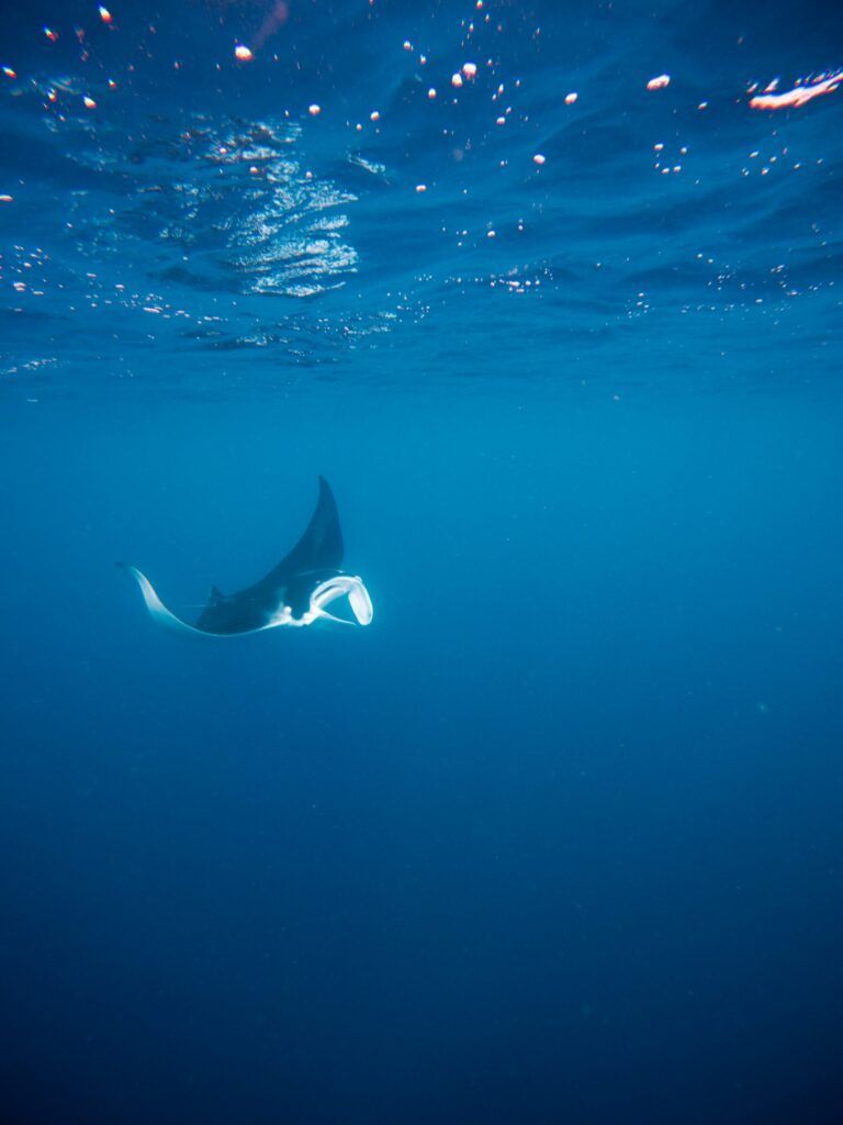 10 Unique Things to Do in Fiji