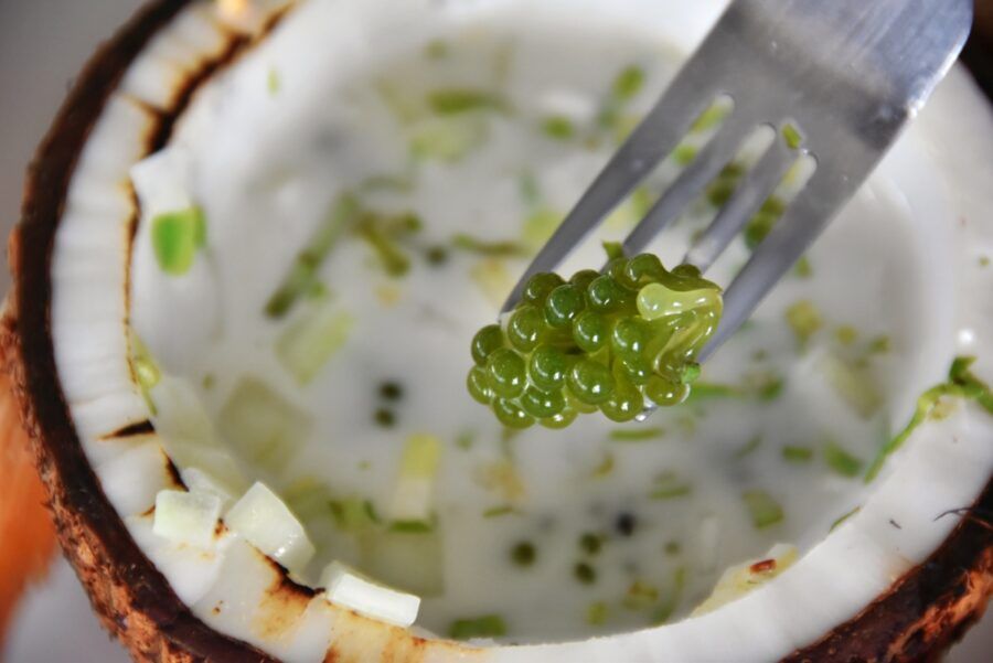 The Complete Guide to Food in Fiji