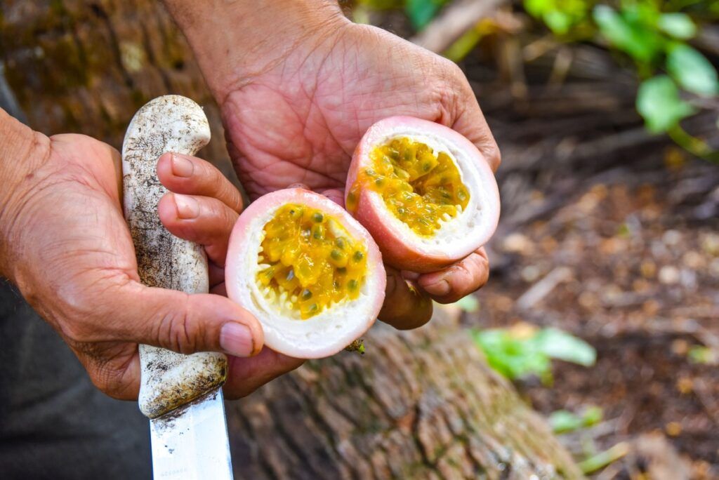 10 Exotic Fruits in Fiji You Have to Try