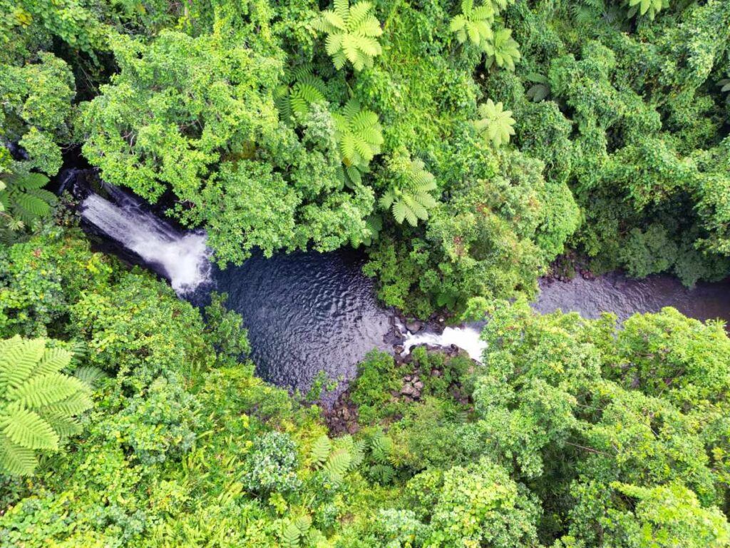 9 Best Walks in Taveuni