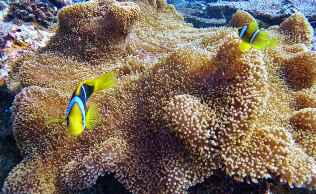 10 Must-Dos in Fiji