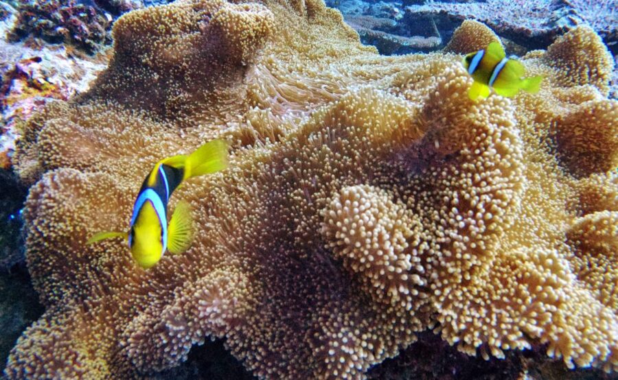 10 Must-Dos in Fiji