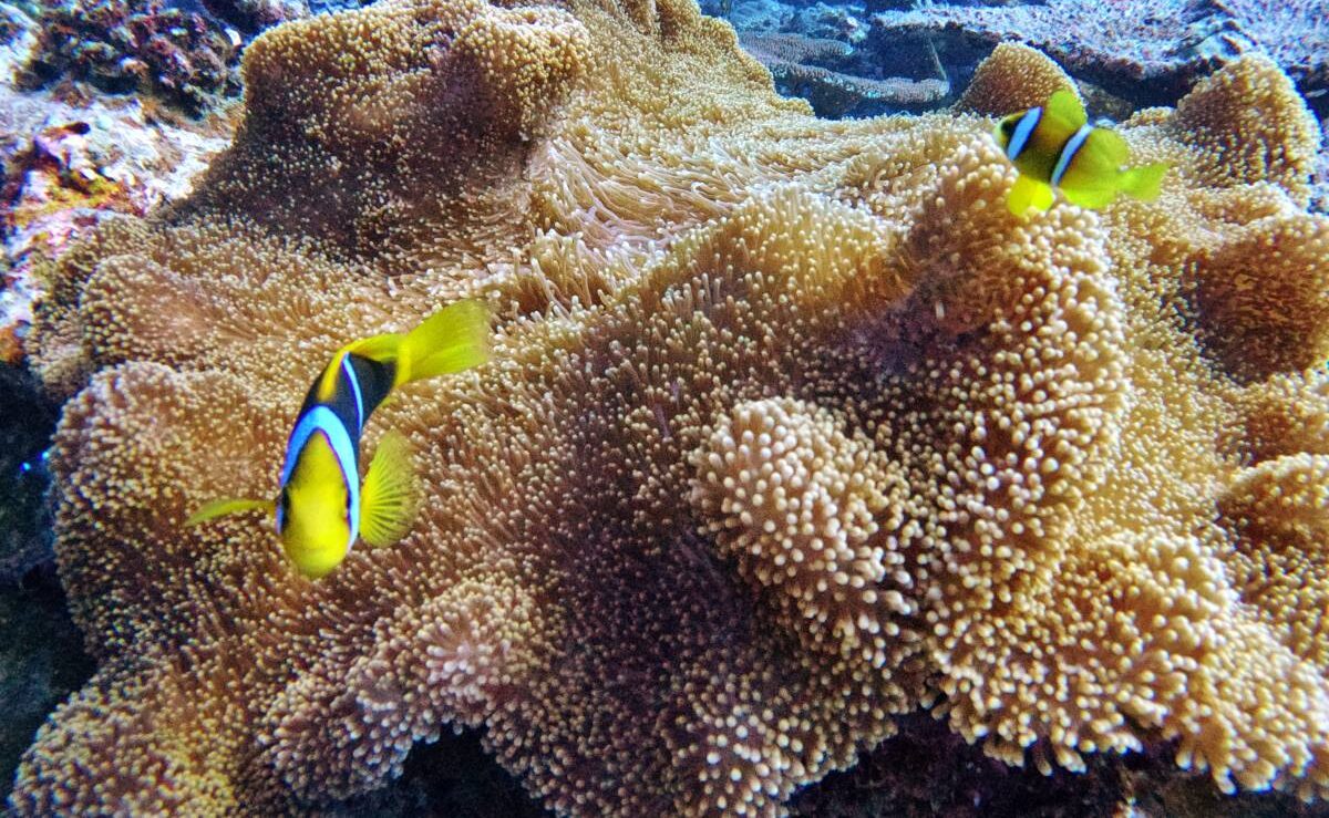 10 Must-Dos in Fiji