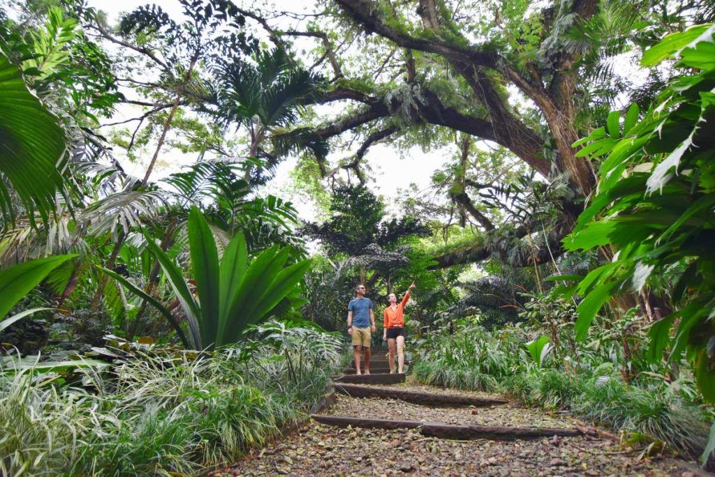 10 Best Walks in Vanua Levu