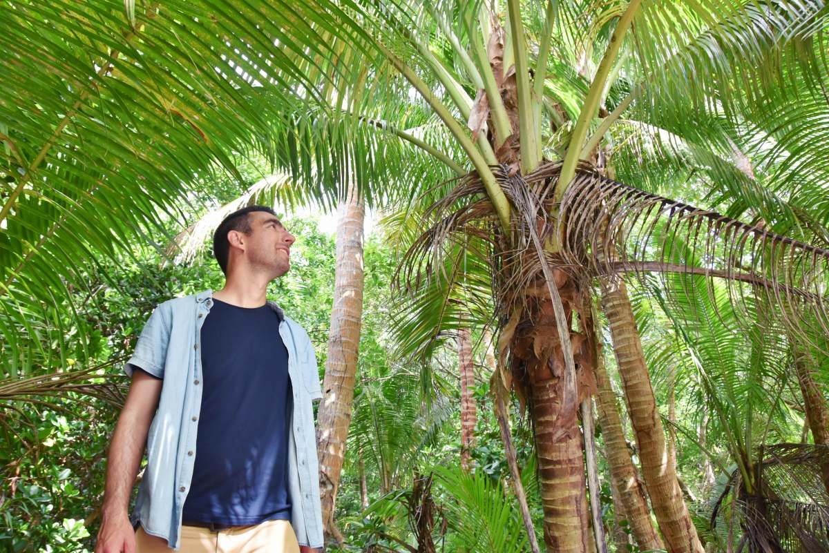 6 Best Walks in the Mamanuca Islands