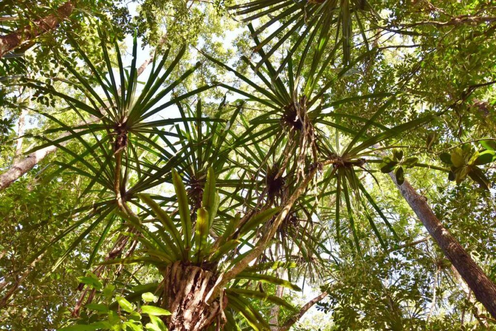 8 Best Walks in the Yasawa Islands