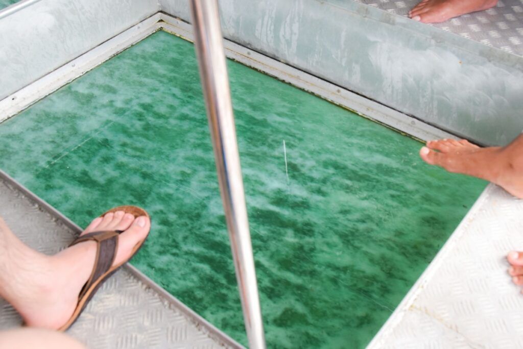 10 Best Wildlife Activities in Fiji