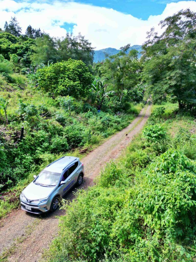 How to Drive in Fiji