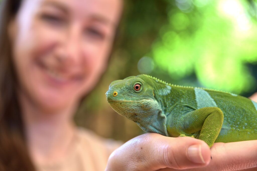 10 Best Wildlife Activities in Fiji