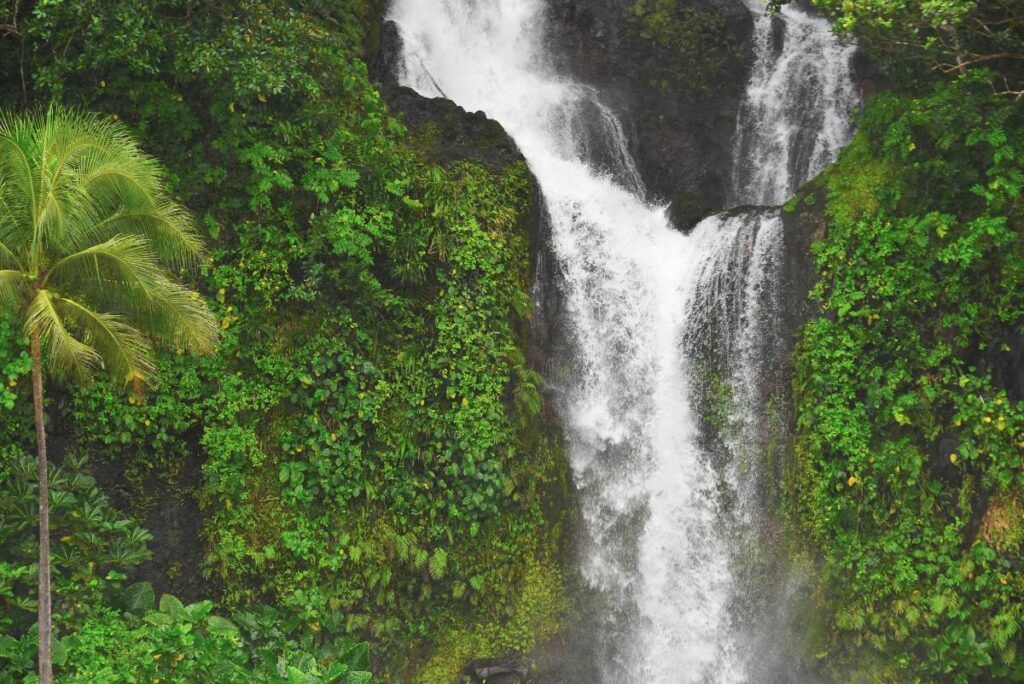 10 Best Swimming Spots in Fiji